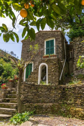 Villa Smith Vernazza
